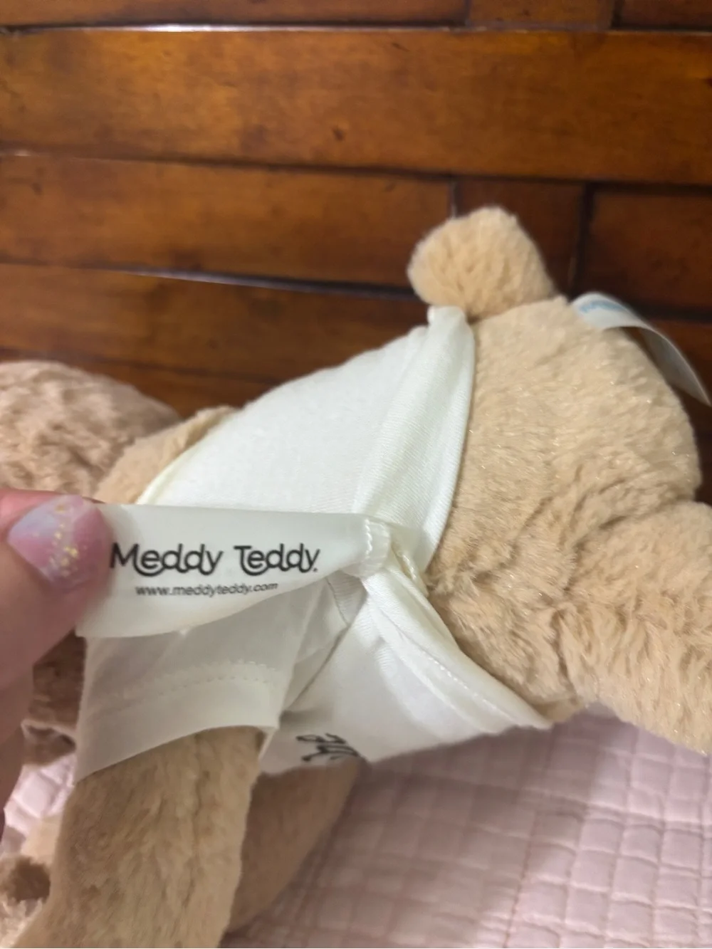 Meddy Teddy meddy teddy